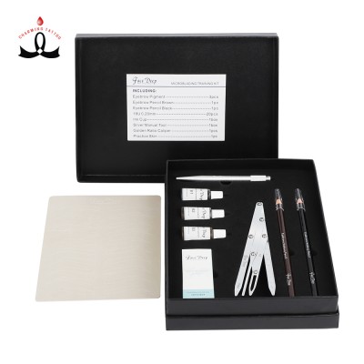 Factory Direct Permanent Makeup Tattoo Kit Microblading Kit for PMU Training Academy